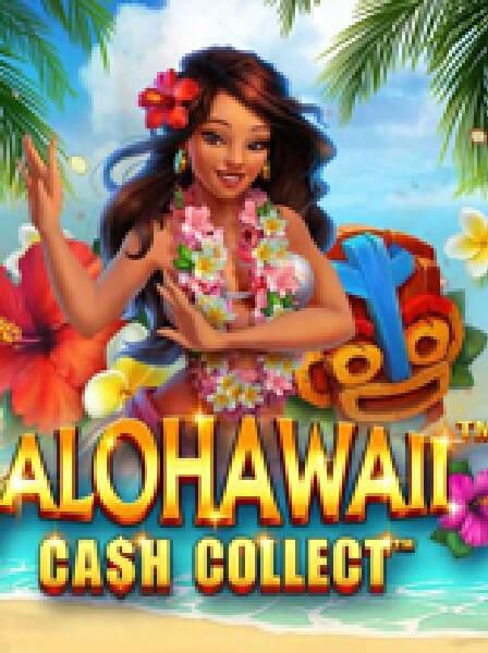 Live Dealer Experience at PrimeCasino: What to Expect