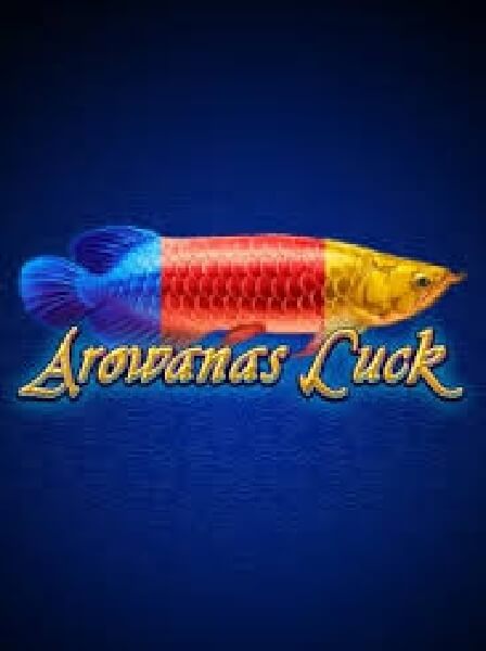 Exclusive Interviews with PocketAces Club Top Players
