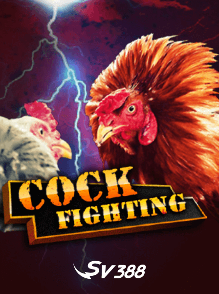 Khám Phá Các Khuyến Mãi Casino Gây Sốc Từ Các Nhà Cái